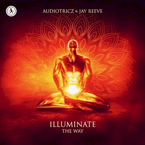 Illuminate the Way