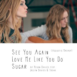 See You Again, Love Me Like You Do, Sugar (Acoustic Mashup)