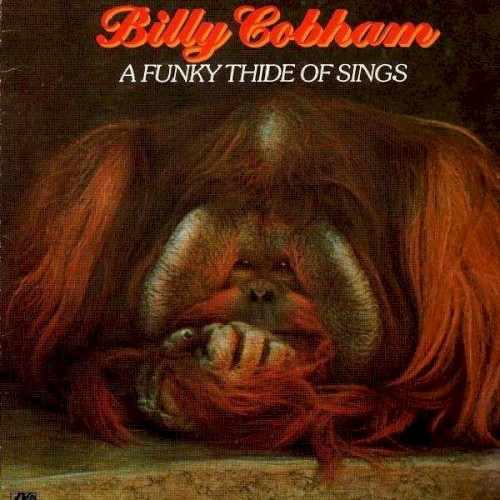 A Funky Thide of Sings