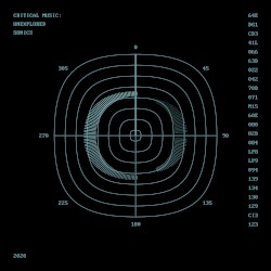 Critical Music : Unexplored Sonics