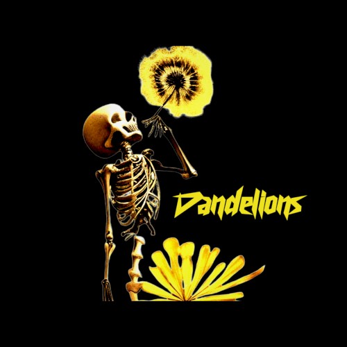 Dandelions