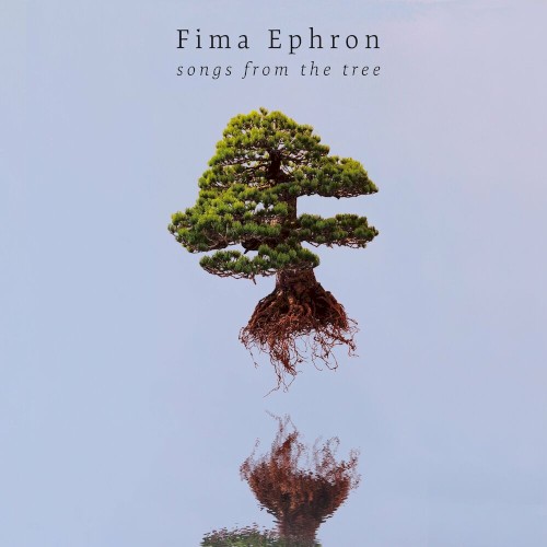 Songs From The Tree
