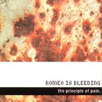 The Principle of Pain
