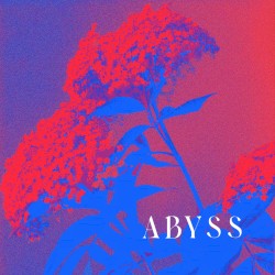 Abyss
