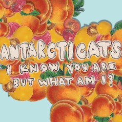 I Know You Are, but What Am I?