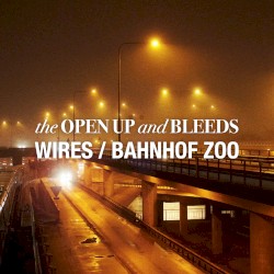 Wires/Bahnhof Zoo