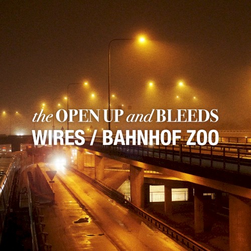 Wires/Bahnhof Zoo