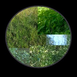 longroad