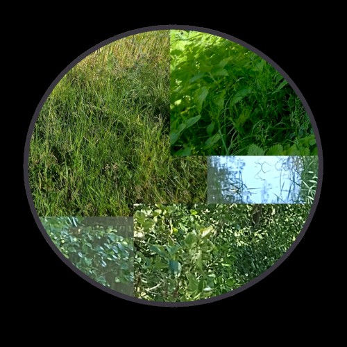 longroad