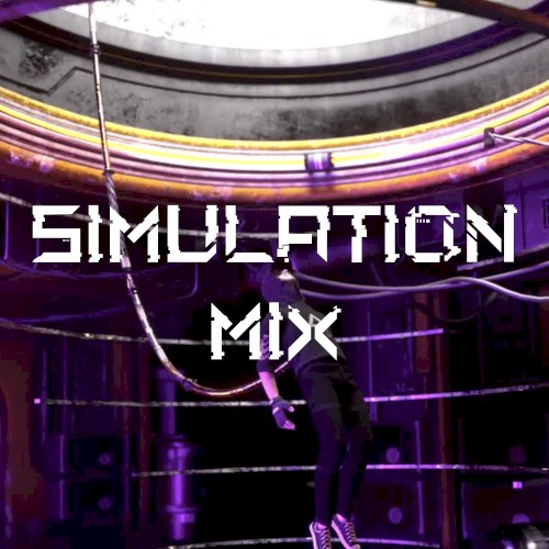 ＳＩＭＵＬＡＴＩＯＮ ＭＩＸ