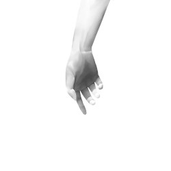 Everything