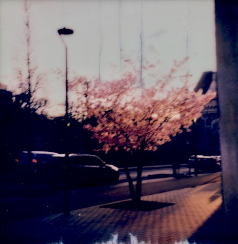 Home Normal Mixtape by Stijn Hüwels