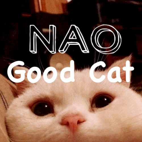 Good cat