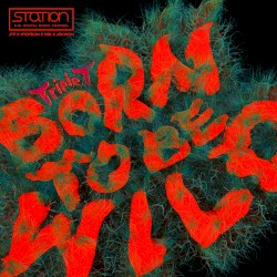 Born to Be Wild