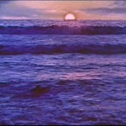 Sunsets