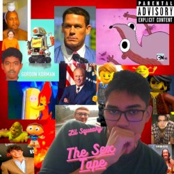 The Sex Tape