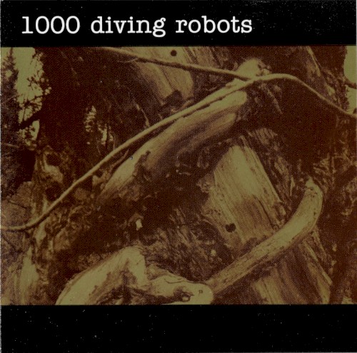 1000 Diving Robots
