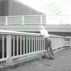 辛くないハッカ