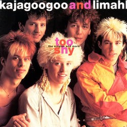 Too Shy: The Singles and More