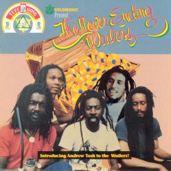 The Never Ending Wailers