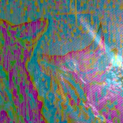 contact