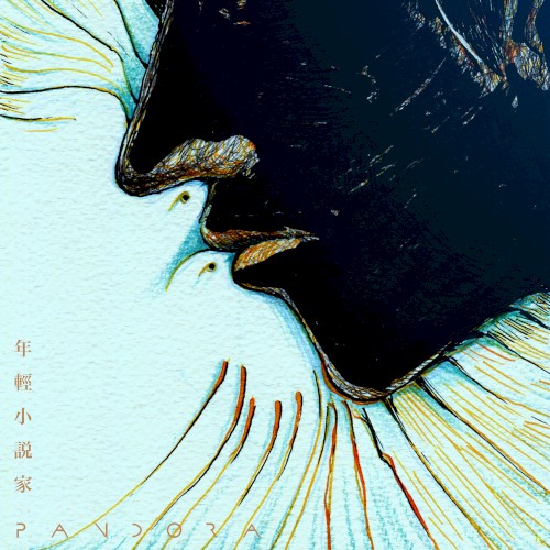 年輕小說家