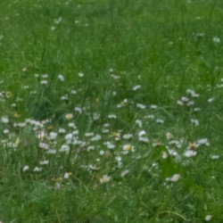 Always