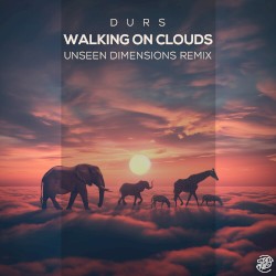 Walking on Clouds (Unseen Dimensions remix)
