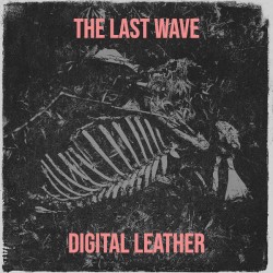 The Last Wave