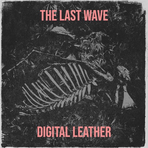 The Last Wave