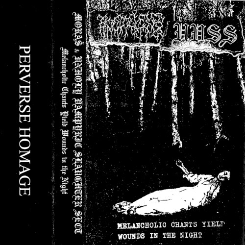 Melancholic Chants Yield Wounds in the Night