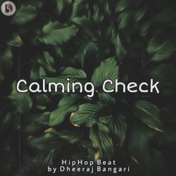 Calming Check (HipHop Beat)