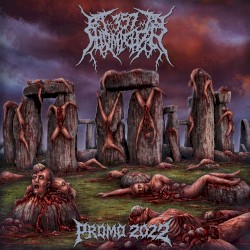 Promo 2022