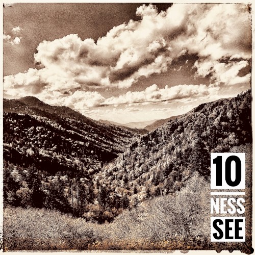 10 NESS SEE