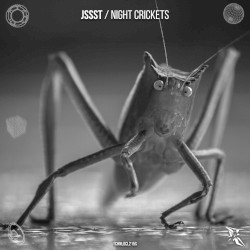 Night Crickets