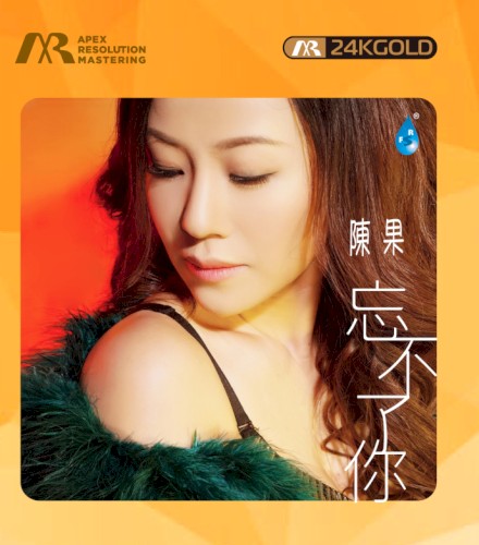 忘不了你 (ARM 24K Gold CD)
