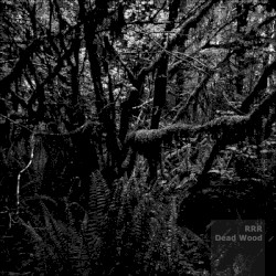 Dead Wood