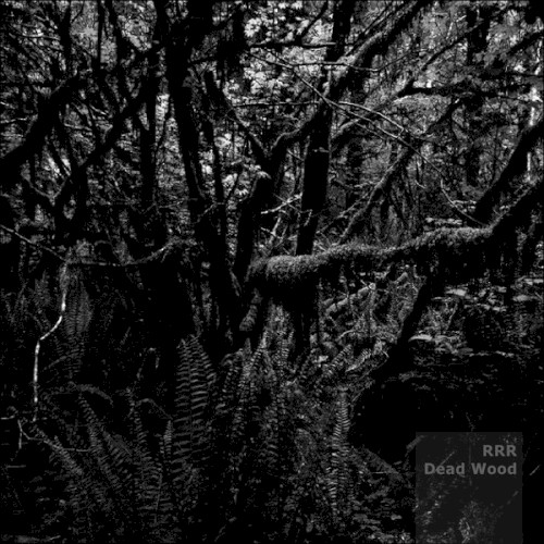 Dead Wood