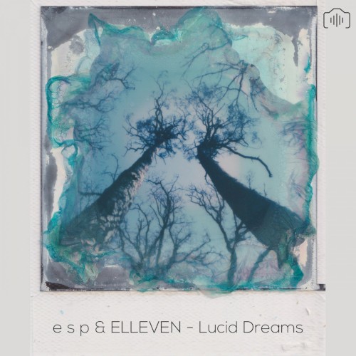 Lucid Dreams