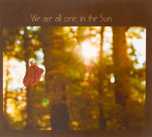 We Are All One, In The Sun: Tribute to Robbie Basho