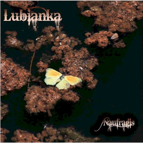Naufragis