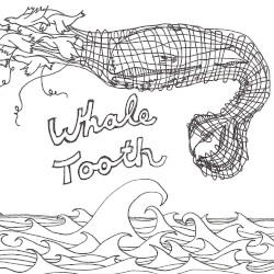 Whale Tooth