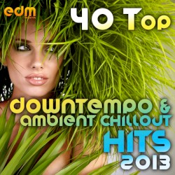 40 Top Downtempo & Ambient Chillout Hits 2013 (Best Of Psybient, Lounge, World, TripHop, Dub & Bass)