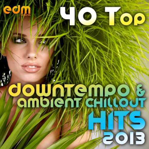 40 Top Downtempo & Ambient Chillout Hits 2013 (Best Of Psybient, Lounge, World, TripHop, Dub & Bass)