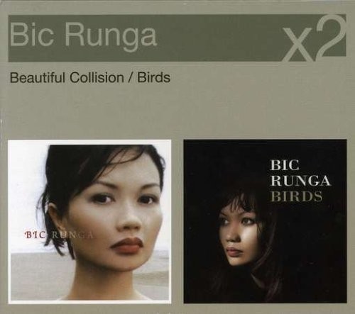 Beautiful Collision / Birds