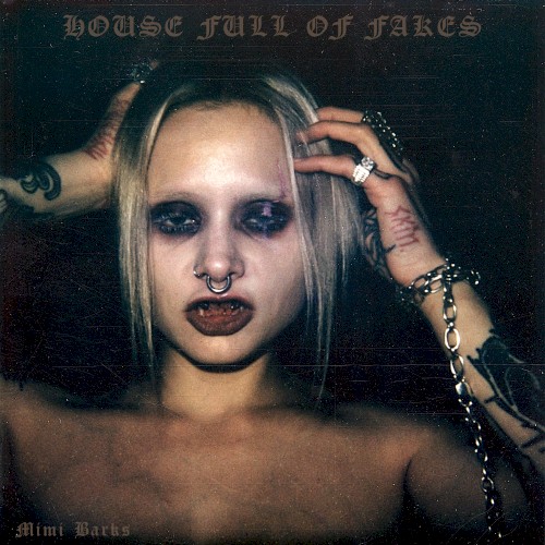 HOUSE FULL OF FAKES