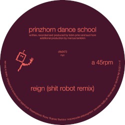 Reign (Shit Robot remix)