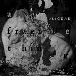 A Fragile Thing