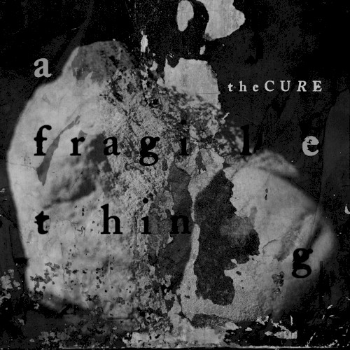 A Fragile Thing