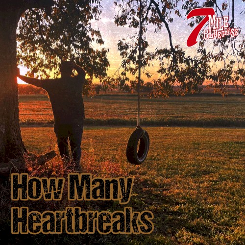 How Many Heartbreaks